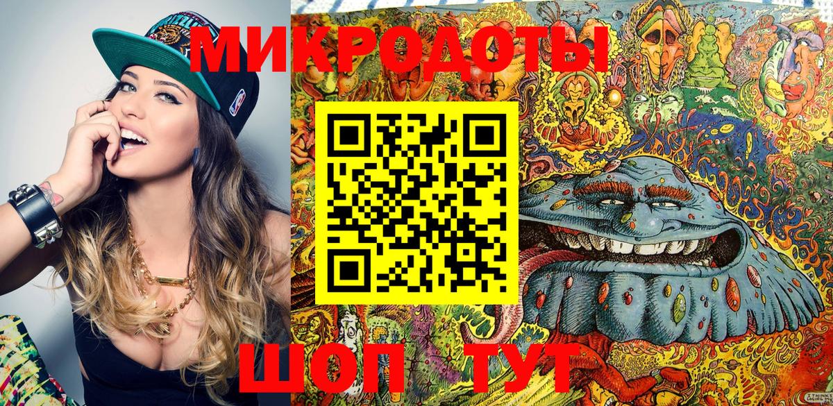 Псилоцибиновые грибы Psilocybe Майкоп