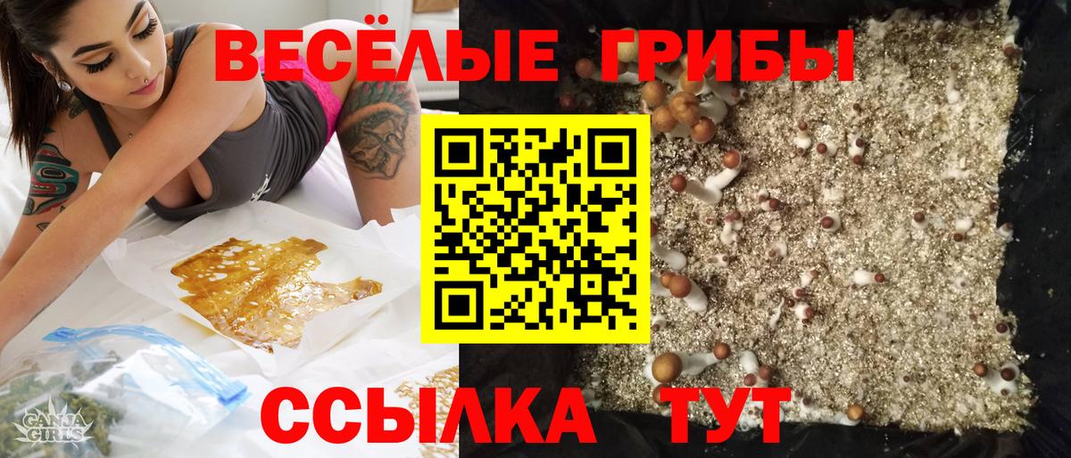 Псилоцибиновые грибы Magic Shrooms  Вход с VPN  Майкоп  Псилоцибиновые грибы мицелий 